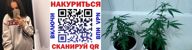 Где купить наркотики Вольск А ПВП Меф мяу мяу