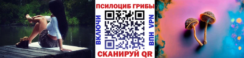 где найти наркотики Вольск Псилоцибиновые грибы MAGIC MUSHROOMS