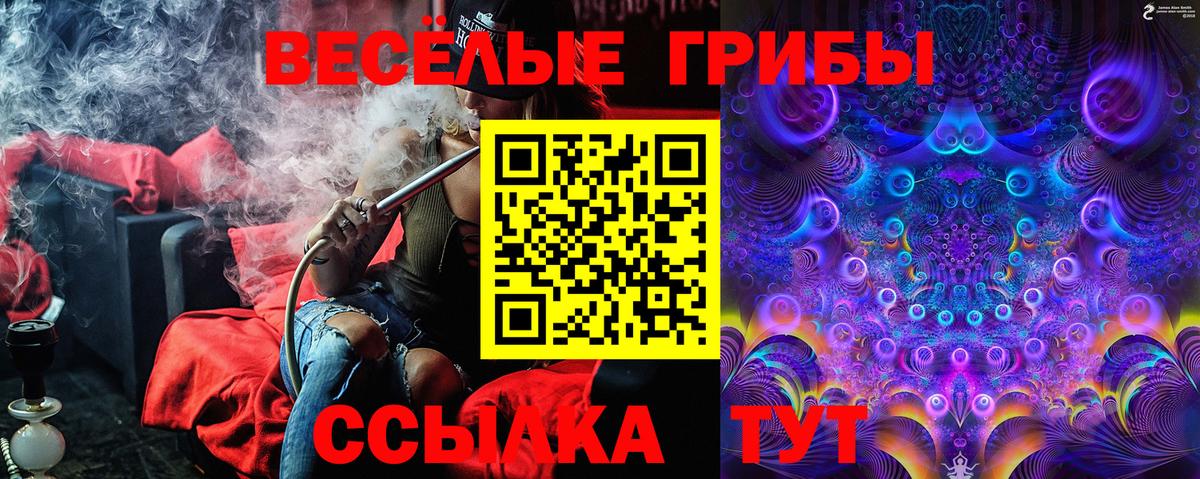 Галлюциногенные грибы Magic Shrooms  Вход с VPN  Вольск 